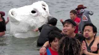 Vancouver Polar Bear Swim 2014  English Bay [upl. by Nol668]