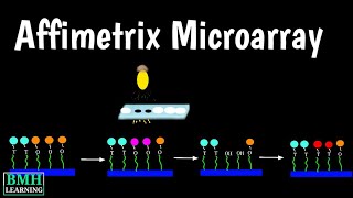 Affymetrix Microarray  Affymetrix Genechip  Affymetrix Genechip Oligonucleotide Microarray [upl. by Jarrad]