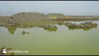 Dallol Volcanos Acid Lakes [upl. by Ayimat466]