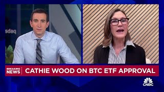 ARK Invest CEO Cathie Wood We believe that bitcoin is a public good [upl. by Lira783]