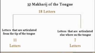 0716 Tajweed in English  Introduction to the tongue makhraj [upl. by Darton]