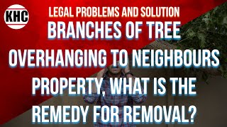 Branches of Tree Overhanging to Neighbours Property What is the Remedy for Removal [upl. by Airdnahs]