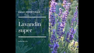 lhuile essentielle de lavandin [upl. by Soll]