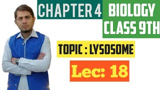 Lysosome Sucide bags  Class 9th Chp 4  Lec 18 [upl. by Ume]