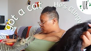 Life Update New Beginnings Weight Loss and My Clingy Kitten in China [upl. by Ainotna]