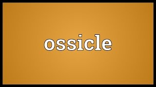 Ossicle Meaning [upl. by Ahsieken859]