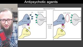 05 12  5HT2A receptor antagonism and 5HT1A partial agonism  هابطات السيريتونين 2 أ [upl. by Ayek295]