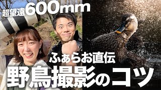 【総額〇〇万円】600mm超望遠レンズで野鳥撮影！まさかの写真が… [upl. by Esilram]