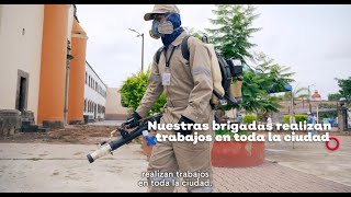 Brigadas contra el dengue  Gobierno de Jalisco [upl. by Atnuhs]