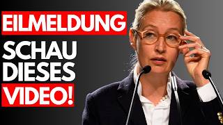 ALICE WEIDEL zerstört quotDie 100quot PROPAGANDA Show und will GEZ sofort ABSCHAFFEN [upl. by Amleht]