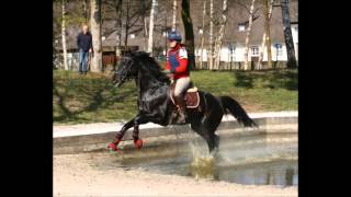 Impressionen Trakehner Perspektivlehrgang Vielseitigkeit 2016 [upl. by Ytineres692]