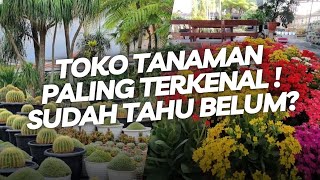 Kios Bunga Barokah Toko Tanaman Paling Terkenal di Kota Batu Malang Jawa Timur❗❗ [upl. by Heidt]