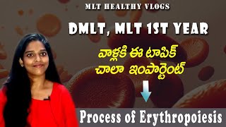 Process of Erythropoiesis in telugu  Dmlt Bscmlt  Mlt healthy vlogs  in Telugu [upl. by Enomsed]