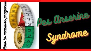 Pes Anserine Bursitis  How to Measure Progress  TriPhysio [upl. by Ahseena]