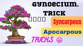 trick to learn GynoeciumCrapelSyncarpousapocarpousNCERTmorphology in flowering plantsNEET [upl. by Marian]