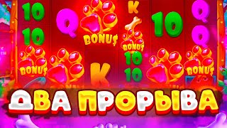 ПРОРВАЛ СОБАК НА ДВА ОГРОМНЫХ ВЫИГРЫША  THE DOG HOUSE MEGAWAYS [upl. by Ynohtnakram]