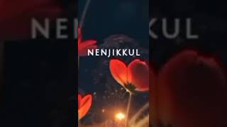 Ithayithil nee song Unakkum enakkum shorts venmegam music [upl. by Llien953]