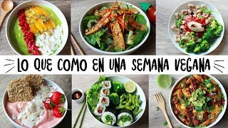 LO QUE COMO EN UNA SEMANA  VEGANO amp SALUDABLE [upl. by Yelnoc]