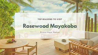 Top Reasons to Visit  Rosewood Mayakoba [upl. by Boles767]