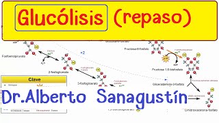 Glucólisis explicada fácil y rápido Bioquímica [upl. by Arriat967]