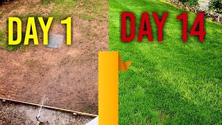 Watering new grass seed day 1 7 14  4 Week Time Lapse [upl. by Beniamino]