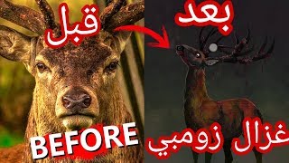 انتشار فيروس زومبي الغزال الحقيقي هل انتشر المرض  على البشر Zombie deer [upl. by Leidgam683]