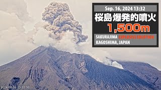 2024年9月16日 1332 桜島 爆発的噴火 1500ｍ  Sakurajima Explosive Eruption [upl. by Rollo]