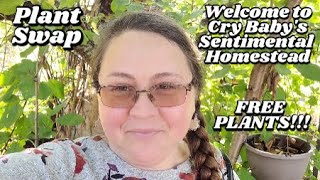 FREE Plants Secret Reveal garden gardening plants plant homegardening free frugal [upl. by Flory]