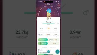 Pokémon GO community day  Evolving shiny Ponyta pokemon [upl. by Di459]