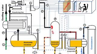 At Home Small Animal Euthanasia Emergency amp Pest How To [upl. by Meid]