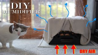 Best Humidifier for Dry Air Bedroom  Homemade and Free [upl. by Germin141]