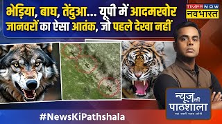 News Ki Pathshala 6 पकड़े गए 2 बाकी लेकिन आदमखोर भेड़िये ने फिर शिकार कर डाला  Wolf Attack [upl. by Suhpoelc]