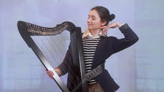 Never Gonna Give You Up  Rick Astley Harp Cover [upl. by Mateya]