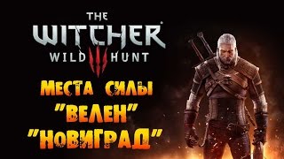 The Witcher 3 Wild Hunt  Места силы quotВеленquot и quotНовиградquot [upl. by Eillim470]