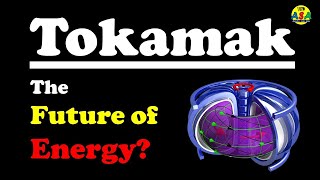 What is a Tokamak Working and Future [upl. by Mandych76]