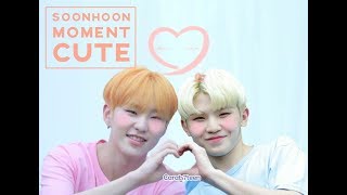 SOONHOON  Cute Moment [upl. by Ailema220]