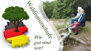 Ist Deutschland Vorreiter im Waldnaturschutz  Interview mit Prof Knapp auf Vilm [upl. by Cortie]