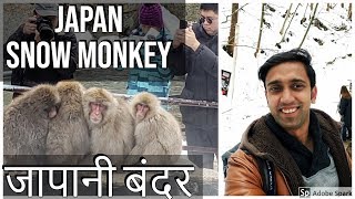 Travel JAPAN 2 II Snow monkey Park II INDIAN IN JAPAN II Rom Rom Ji [upl. by Annissa]