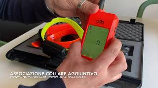 Associazione collare X20X30 Dogtrace GPS con ricevente [upl. by Riatsala]