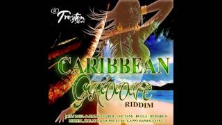 Caribbean Groove Riddim Mix Troyton Music Maticalise [upl. by Atineb]