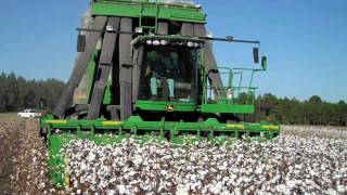 2009 Picking Cotton  DEJ Turner Farms [upl. by Laurianne]