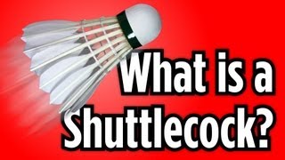 What Is a Shuttlecock  Badminton Lessons [upl. by Carnay]