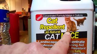 Excellent cat repellent that works and is safe for use around animals 100 ALL NATURAL ANIMAL REPELL [upl. by Anaet]