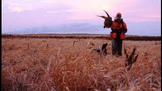 Pheasants Forever A Call to Action [upl. by Androw661]