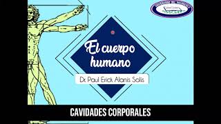 El cuerpo humano  Cavidades corporales [upl. by Leerzej311]