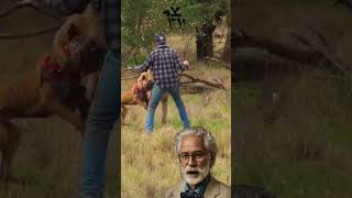 مواجهة بين رجل وكنغر غاضب 🦘 Man Punches a Kangaroo in the Face [upl. by Pirozzo]