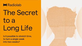 The Secret to a Long Life  Radiolab Podcast [upl. by Rosalinde723]