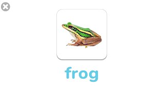 New words Bat Frog  Animals names and sounds  Learn English for Kids [upl. by Anerul]