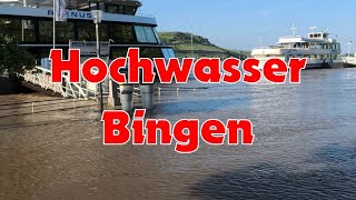 Bingen 03062024 Spaziergang im Hochwasser [upl. by Zul]