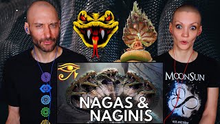 Nagini and Naga Explained  Mythology REACTION [upl. by Salaidh687]